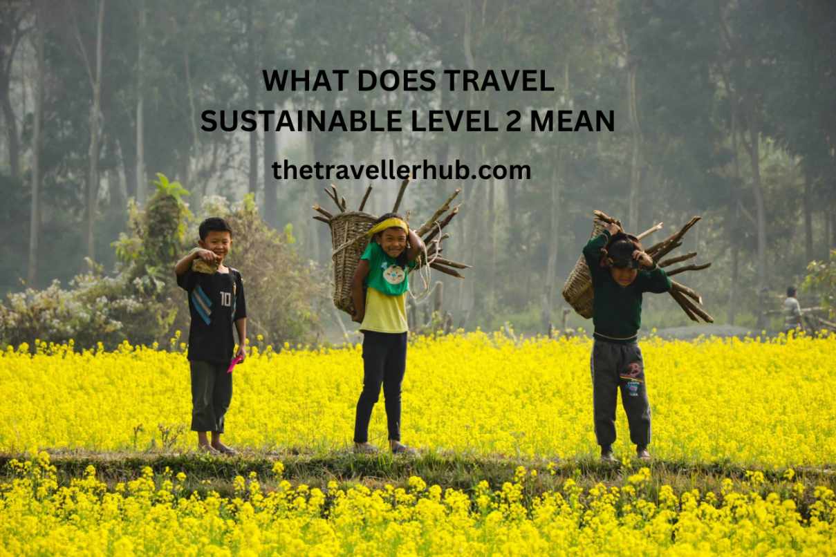 WHAT DOES TRAVEL SUSTAINABLE LEVEL 2 MEAN